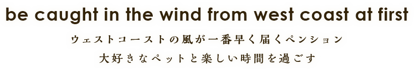 be caught in the wind from west coast at first ウェストコーストの風が一番早く届くペンション 大好きなペットと楽しい時間を過ごす